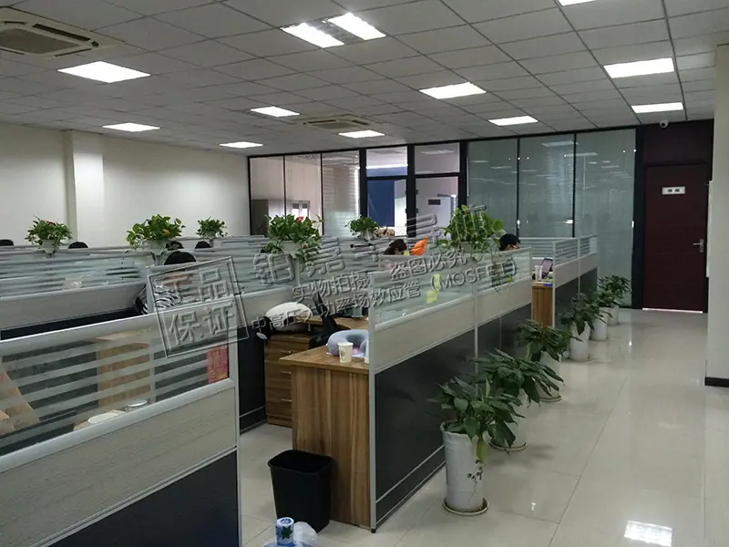 06.jpg