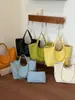 Moda Exquisita Transfronteriza Estilo de Alta Gama 2026 Nuevo Bolso Tote de Hombro Único para Mujer Diseño Sencillo de Nicho Primavera/Verano