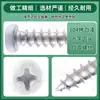Tornillos Autorroscantes de Acero Inoxidable 304 con Cabeza Redonda Cruzada Pintados de Blanco Pa M2M3M4M5M6M8 Tornillos a Prueba de Óxido y Corrosión