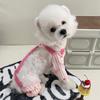 Pantalones a prueba de polvo para pasear perros y gatos, pantalones a prueba de suciedad, lindo lazo estilo coreano Ins, osito de peluche para salir