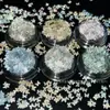 Nuevo Polvo de Mariposa Estrella Punto Gradiente Reflectante Joyería para Uñas de Forma Especial DIY Flujo Cáñamo Salón de Uñas Material Especial