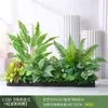 Paisagismo com Plantas Verdes Simulação Floreira Divisória de Piso Arte Floral de Chão Paisagem de Plantas Combinação de Floreira Flor Artificial em Vaso Bonsai Decoração