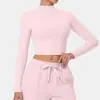 Top de fitness transfronteiriço outono e inverno com gola alta, camiseta esportiva feminina para atividades ao ar livre, secagem rápida, modelagem justa, conjunto de yoga de manga longa