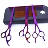 Tijeras de belleza para mascotas de 7.0 pulgadas color negro galvanizado 5 dientes de corte recto tijeras de corte curvo tijeras de hueso de pescado peine de fila en stock