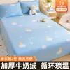 Lençol de Cama de Lã de Leite Espessa de Inverno Peça Única 2026 Novo Estilo Dormitório Solteiro 1.5m Cobertor de Lã Coral Francesa Capa de Edredom