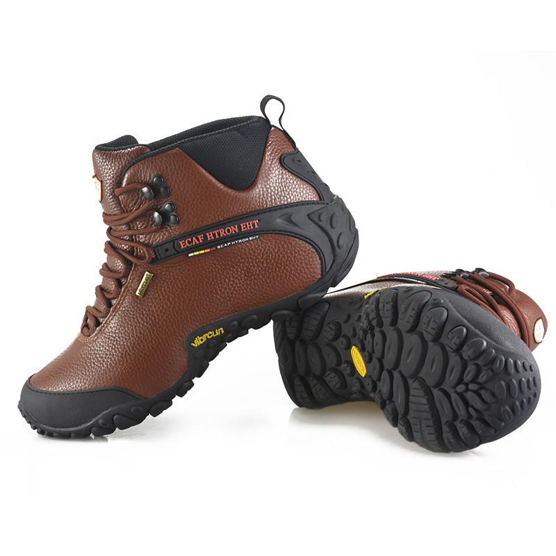 一键复制_20221222110419