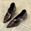 Sapatos Femininos Marrons Retrô Estilo Primavera/Outono 2026 Novos Sapatos Femininos Franceses Simples Bico Fino Mary Janes Salto Bloco Salto Alto Sapatos Pequenos de Couro
