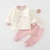 Conjunto Separado para Bebé Otoño Invierno Calidez Clase A Unisex Ropa Interior Acolchada para Bebé Cintura Alta Protección de Barriga No Necesita Quitarse Ropa de Otoño Pantalones de Otoño