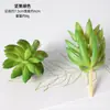 Cabeza de Flor de Terciopelo Carnosa Planta Artificial Falsa Combinación en Maceta de Sábila Cactus Plantas Verdes Adornos de Micro Paisaje