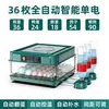 Incubadora doméstica pequena, incubadora totalmente automática para pintinhos, patos, gansos, pombos e ovos para incubar.