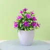 Planta Verde de Simulação para Desktop Planta Verde Mini Vaso Ornamentos de Simulação Flor de Simulação Pequeno Bonsai Flor Artificial Nórdica Planta em Vaso Flor