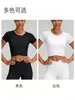 Camiseta de Yoga de Manga Curta de Verão com Bojos Removíveis, Gola Redonda, Ajustada ao Corpo, Modeladora, de Secagem Rápida, Top para Corrida e Fitness