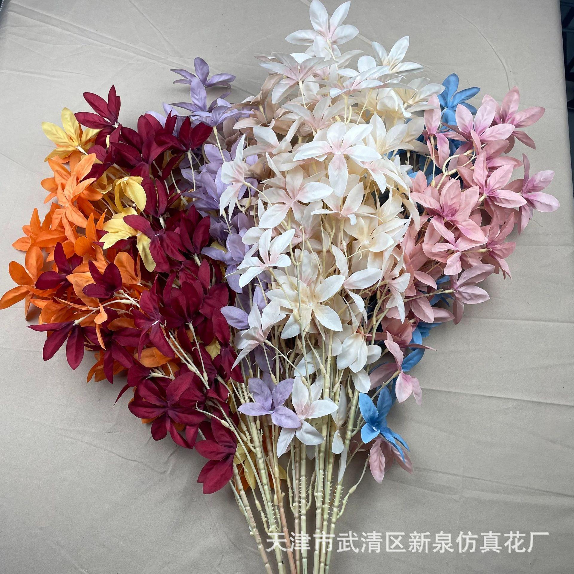 76bed0b893883c9ed27ebb946a25fa