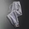 Pantalones de hombre transfronterizos 2026 otoño e invierno nuevo estilo holgados casuales largos con forro polar, de pierna recta con puño, pantalones de chándal para hombre
