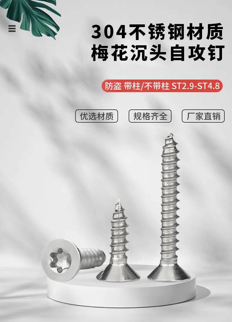 防盗自攻钉_01.jpg