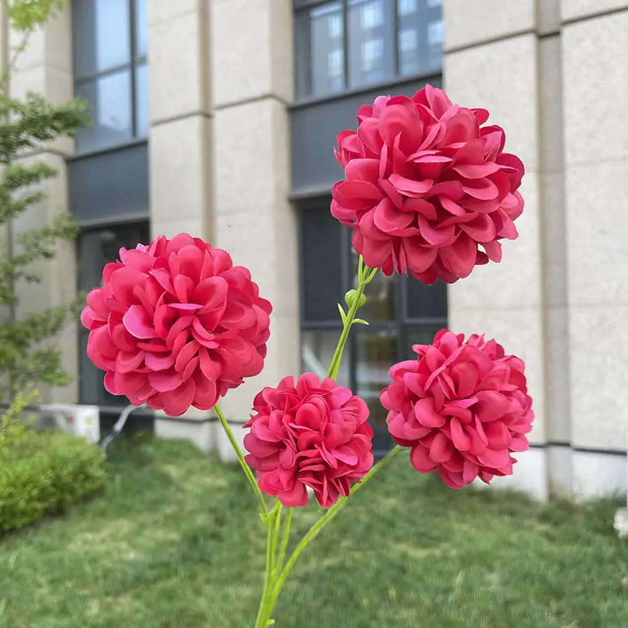 25# 4头高枝芙蓉球-wxzjgx-玫红.JPG