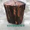 Madera de Azufaifo Golpeada por el Rayo, Madera de Durazno, Marcas de Rayo, Troncos Quemados por el Rayo, Material de Madera Original, Productos de Buena Calidad