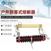 Rn1-35Kvrn1-10Kv63-10Kv6Kv3Kv Fusible de Alto Voltaje para Interiores Fusible de Gabinete de Alto Voltaje Limitador de Corriente