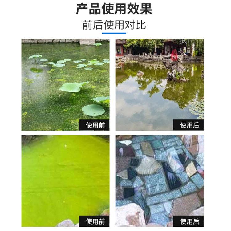 杀菌剂使用前后.jpg