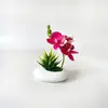Novo Vaso Preto Pedra 3 Flores Phalaenopsis Suculenta Bonsai Flor Fornecimento Direto do Fabricante Decoração de Casa da Moda