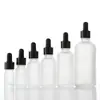 Botellas de vidrio transparente al por mayor para aceites esenciales, frascos gotero para sueros con puntas de goma, botellas dispensadoras portátiles para muestras cosméticas, hechas a medida