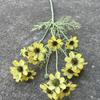 Flores Artificiais Amarelas para Casamento Fabricante de Exportação Rosas e Hortênsias Amarelo-Verdes para Casamento Decoração Suave para Móveis Flores Artificiais Atacado