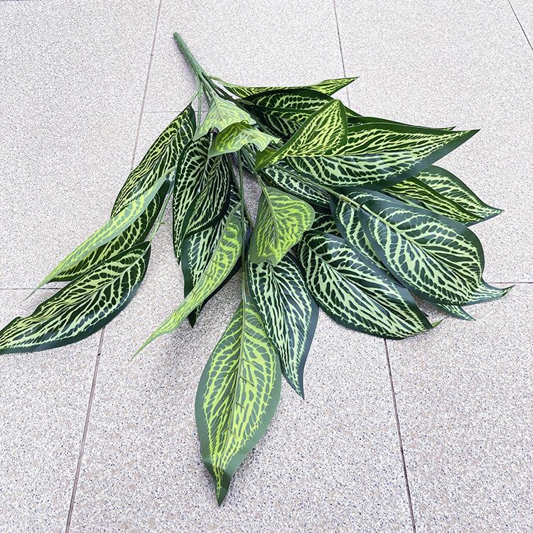 26叶花斑马.JPG