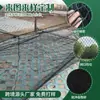 Red anti-pájaros transfronteriza, red negra de nylon para bloquear pájaros, red de protección para huertos de uvas, red para estanques agrícolas de acuicultura