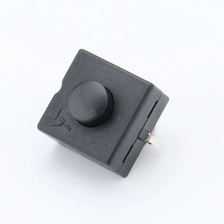 D99A7559