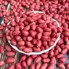 Amendoins Grãos 2026 Nova Safra Amendoins de Casca Vermelha Amendoins Crus Pequenos de Casca Branca com Cascas Atacado