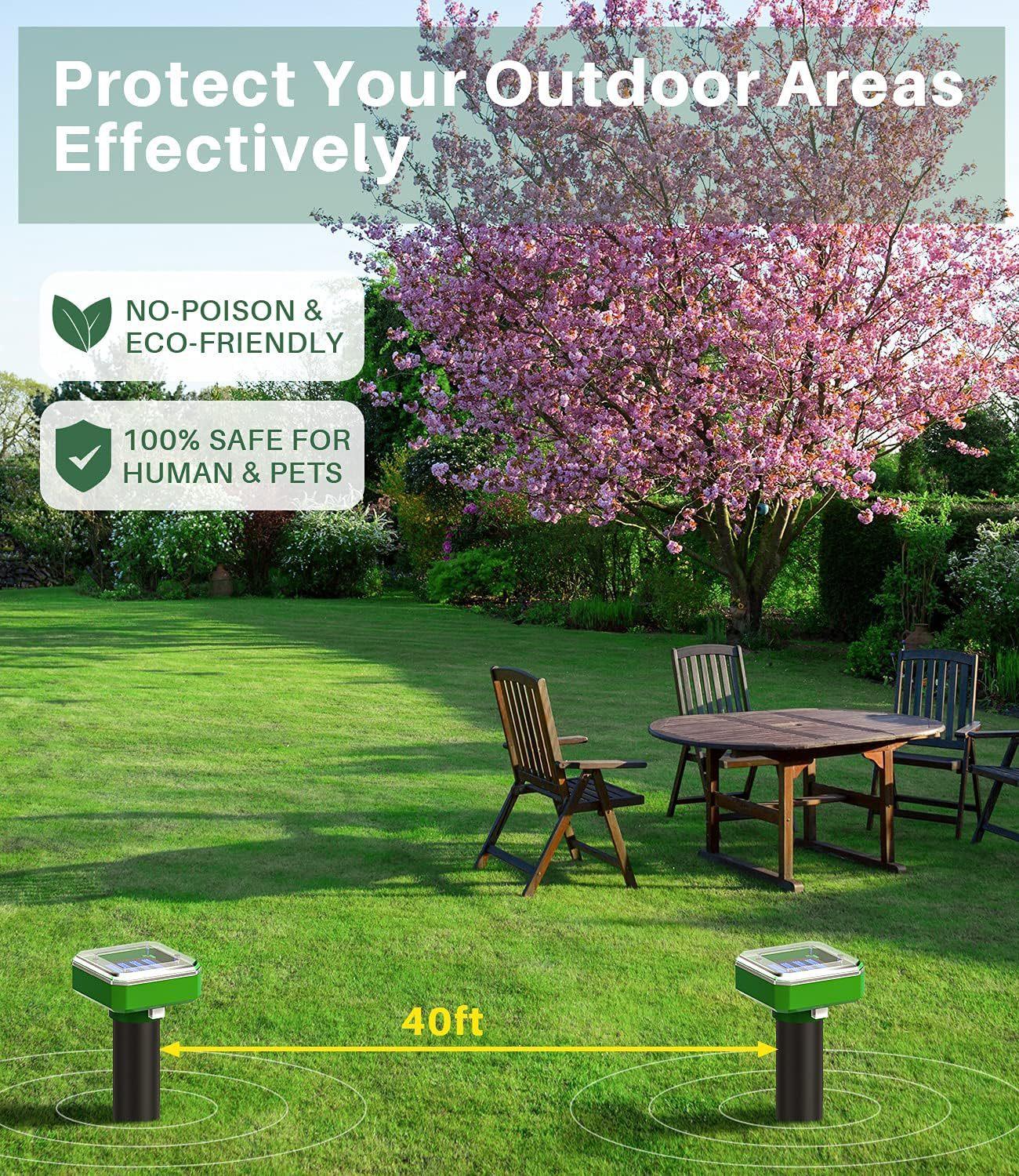 91xVdAq7k8S._AC_SL1500_