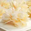 Temu item mais vendido simulação multi-estilo cor champanhe flor de seda cabeça flor de grampo DIY flor flor flor arranjo de flores flor decorativa de casamento