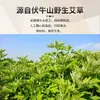 Varitas Repelentes de Mosquitos de Artemisa para Uso en el Hogar, Seguras para Bebés y Niños, Varitas Repelentes de Mosquitos Ecológicas para Interiores, Varitas Repelentes de Mosquitos de Hoja de Artemisa Silvestre de Aromaterapia