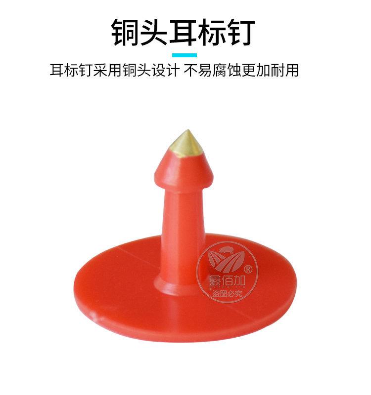 猪耳标B详情页(5).jpg