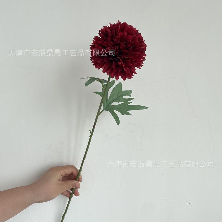 微信图片_202206141501372_副本