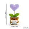Adornos de Tarjetas Inspiradoras Emocionales de Lana Tejidos a Mano Suculentos de Energía Positiva Maceta de Venta Caliente Transfronteriza Adornos de Cactus
