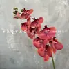 Decoración de Mesa Escandinava de Falenopsis de 9 Cabezas Impresa en 3D Película Floral de Boda Flor Artificial de Falenopsis Accesorios para Fotografía