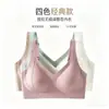 Sujetador Ajustable Transfronterizo para Mujeres con Tallas de Busto Grandes, Minimizador de Apariencia, Anti-Caída, Talla Grande, Sin Costuras, Recogedor Lateral del Pecho, Sujetador para Mujer, Push-Up