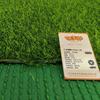 Shiduoya Amostra Simulação Gramado Jardim de Infância Gramado Futebol Gramado Artificial Engenharia Externa Recinto Gramado Falso