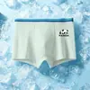 Ropa interior de malla de seda helada para niños, pantalones cortos tipo bóxer finos de verano con estampado de panda para niños mayores, pantalones cortos tipo bóxer para estudiantes, exportación