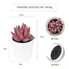 Más de 100 Tipos de Combinaciones de Plantas Suculentas Mini de Plástico Simuladas en Maceta, Mini Bonsáis Suculentos Más Vendidos Transfronterizos, Decoración para el Hogar, Adornos Creativos