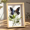 Marco de Fotos 3D Hueco Transfronterizo Premium 2026 Marco para Fotos de Flores Secas DIY Marco de Mesa de 6 Pulgadas con Textura de Madera Maciza con un Toque de Alta Gama