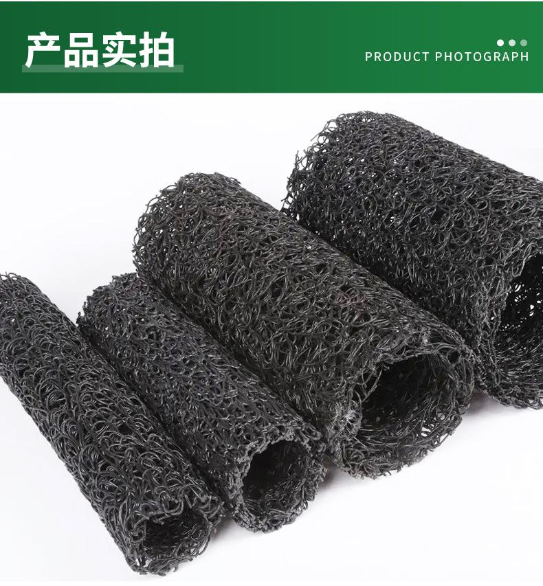 dongyue-4_10.jpg