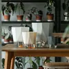 Macetas auto-riego al por mayor para plantas verdes, plantas de rosas y orquídeas, macetas de plástico para balcón, macetas auto-riego
