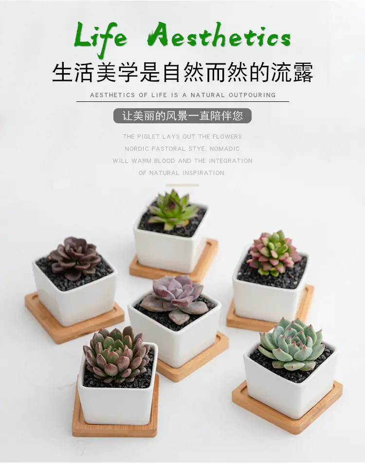 花盆7_04.jpg