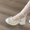 Sapatos Mary Jane femininos de salto grosso, novo estilo outono 2026, versáteis com laço, design de tira única, detalhes em renda, bico fino, sapatos pequenos de couro estilo JK