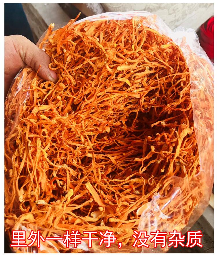 虫草花产品介绍图17