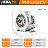 Ventilador de vórtice de alta presión, bomba de vacío Roots de presión negativa, soplador industrial, oxigenador, bomba de aire de vórtice