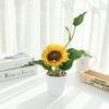 Flores Falsas, Plantas Verdes Artificiales, Girasoles, Girasoles, Bonsái Pequeño, Adornos Creativos, Suministro Directo de Fábrica Jinhua, Flores Artificiales