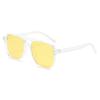 Óculos de Sol Retro Ins Transfronteiriços Personalizados com Lente Dupla Armação Grande Moda Simples Óculos de Sol Protetor Solar